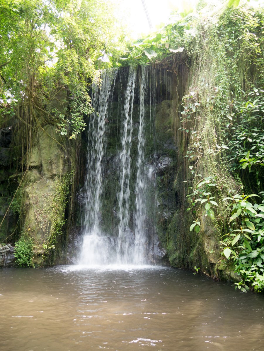 burgers zoo bush 0023  burgers zoo bush 0023