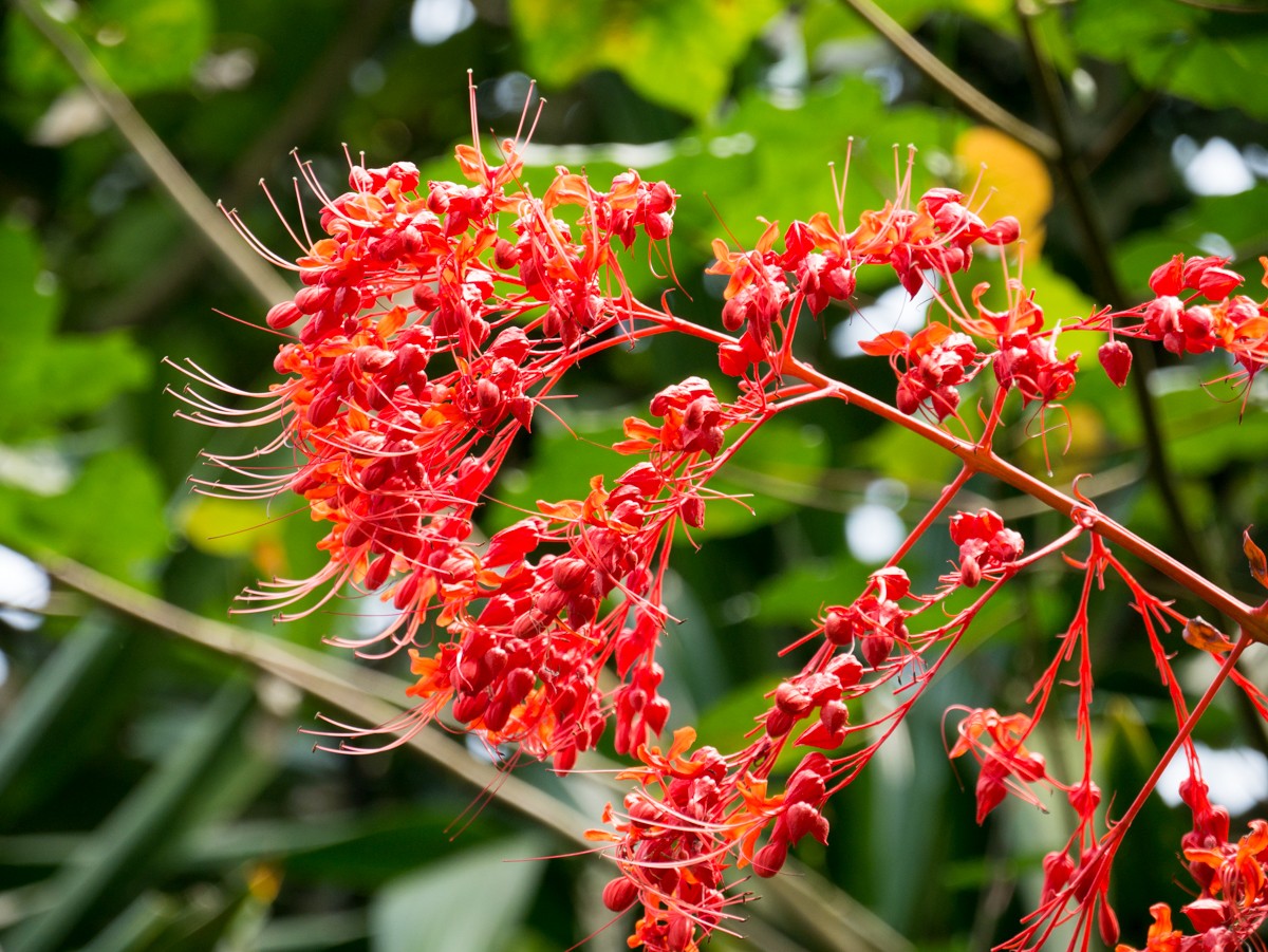 burgers zoo desert 0028  burgers zoo desert 0028