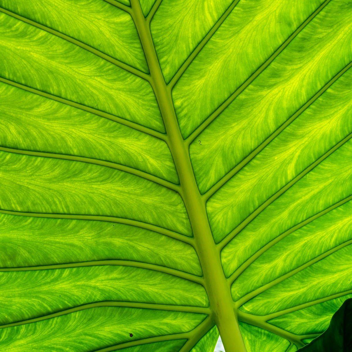 burgers zoo desert 0029  burgers zoo desert 0029