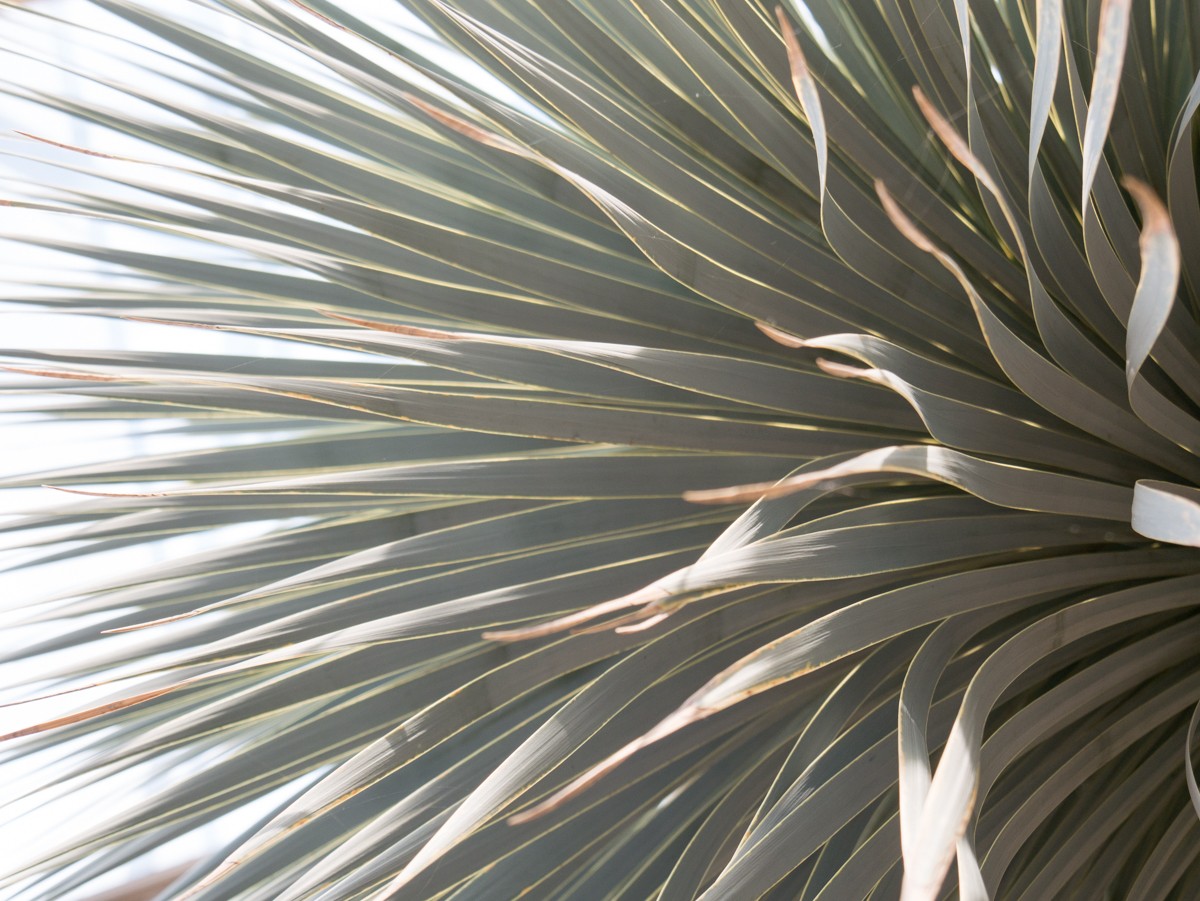 burgers zoo desert 0001  burgers zoo desert 0001