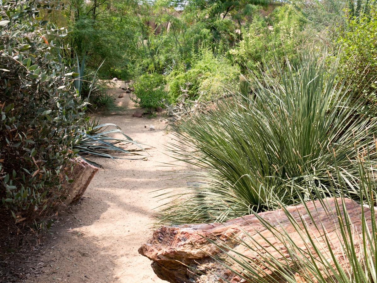 burgers zoo desert 0005  burgers zoo desert 0005