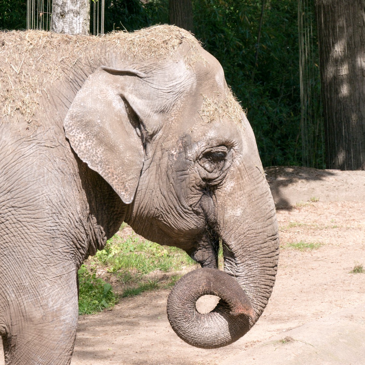 burgers zoo park 0006  burgers zoo park 0006