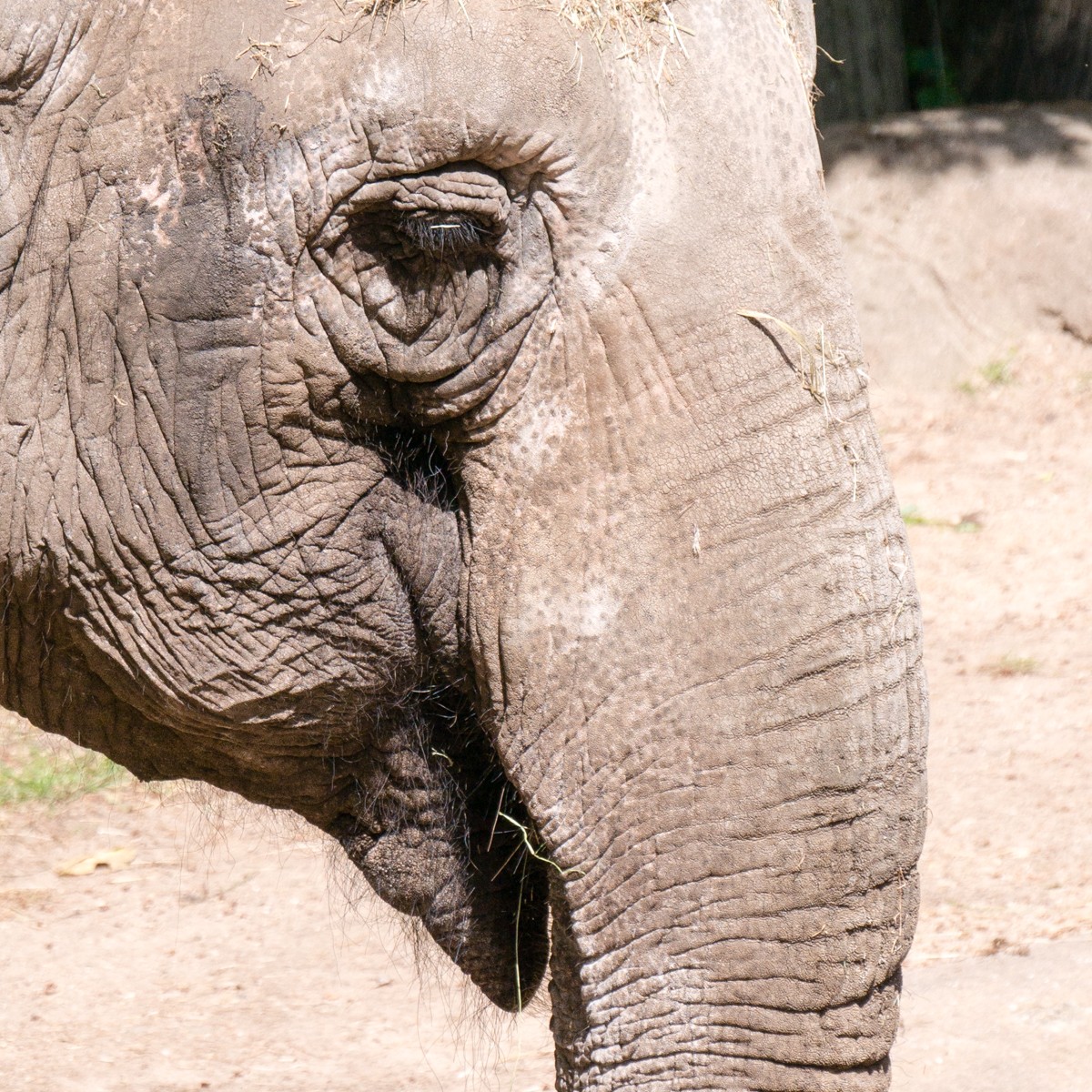 burgers zoo park 0007  burgers zoo park 0007