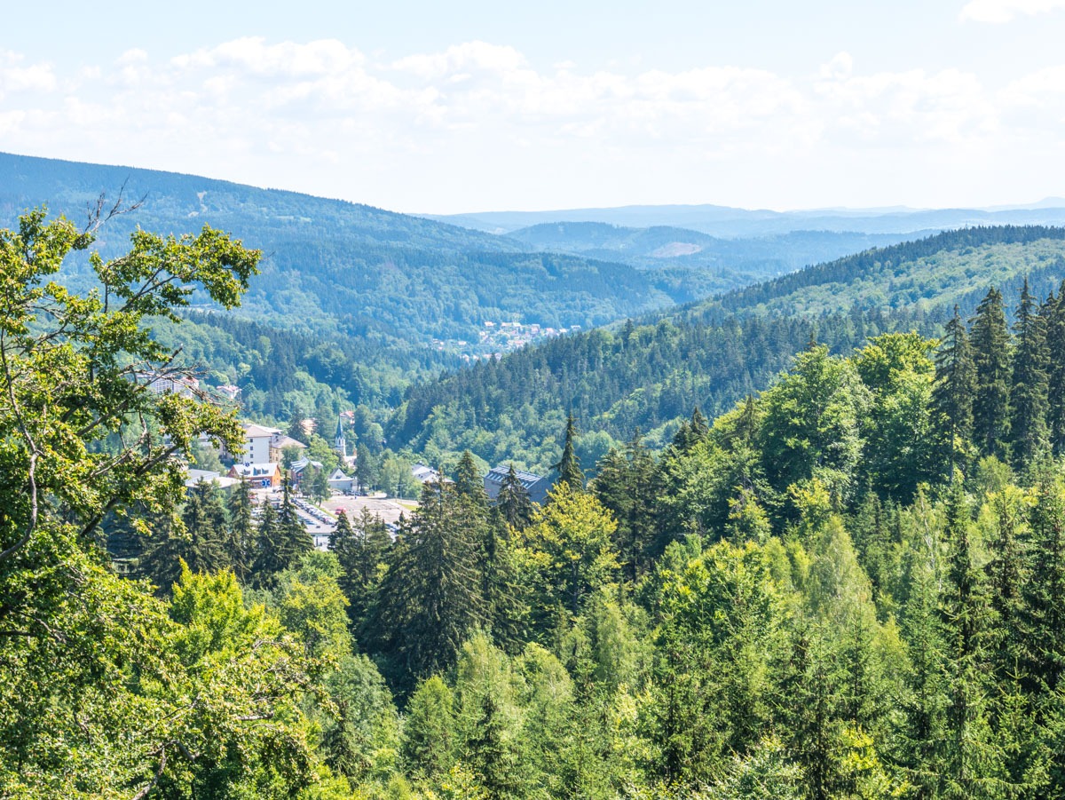 220803 janske lazne boomkroonpad 0003  220803 janske lazne boomkroonpad 0003