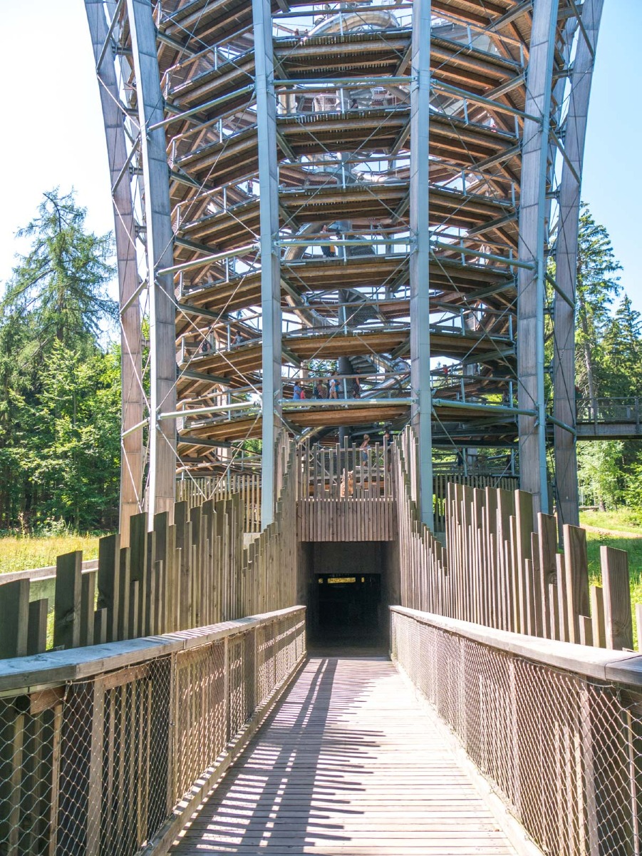 220803 janske lazne boomkroonpad 0008  220803 janske lazne boomkroonpad 0008