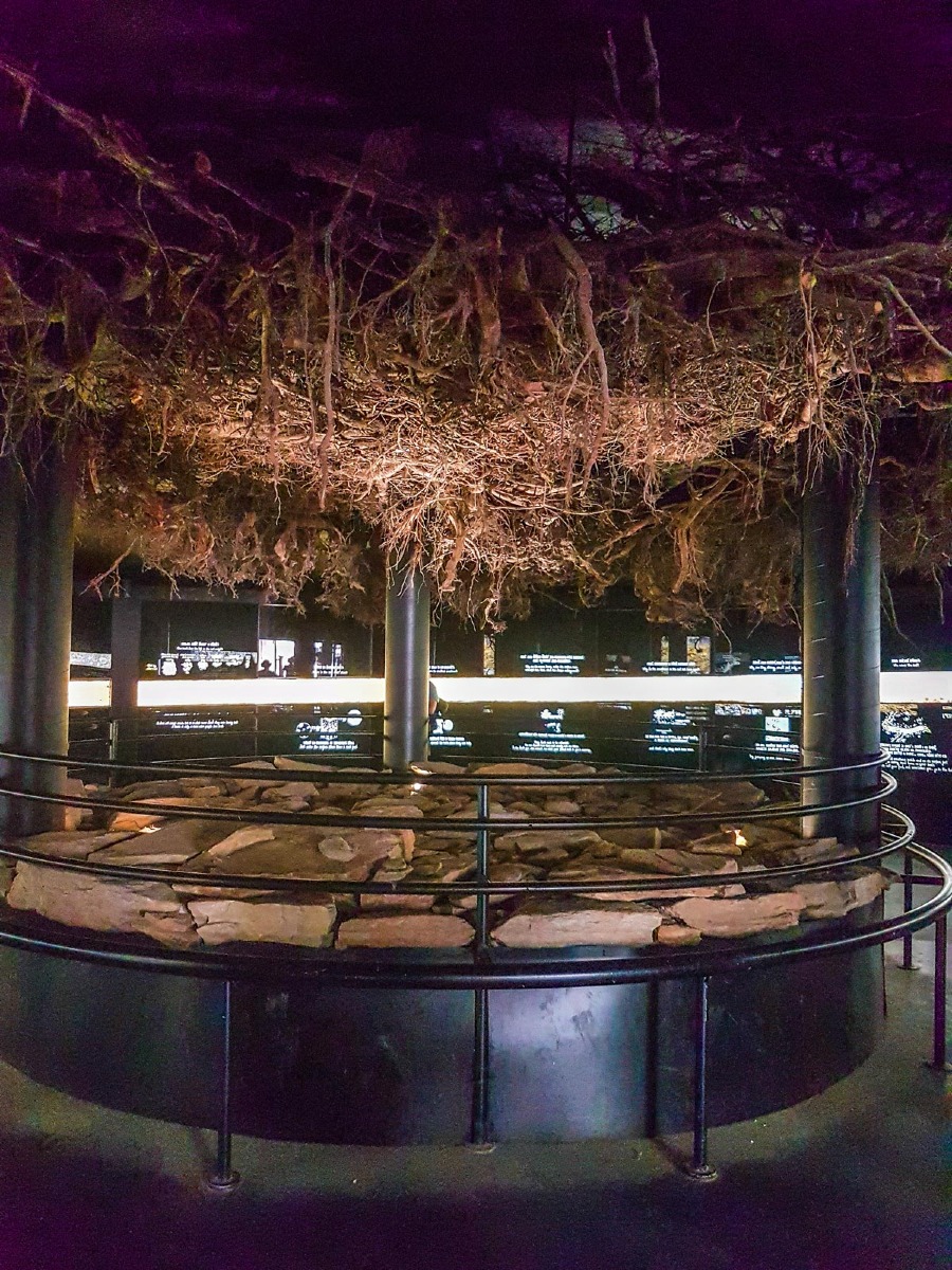 220803 janske lazne boomkroonpad 0009 2022 08 03.28.39 220803 janske lazne boomkroonpad 0009 2022 08 03.28.39