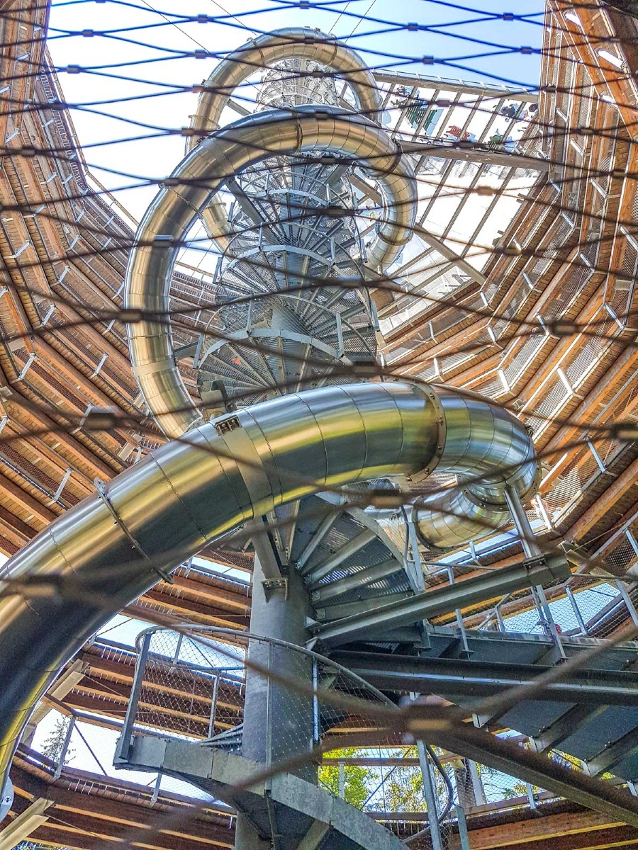 220803 janske lazne boomkroonpad 0010 2022 08 03.31.09 220803 janske lazne boomkroonpad 0010 2022 08 03.31.09