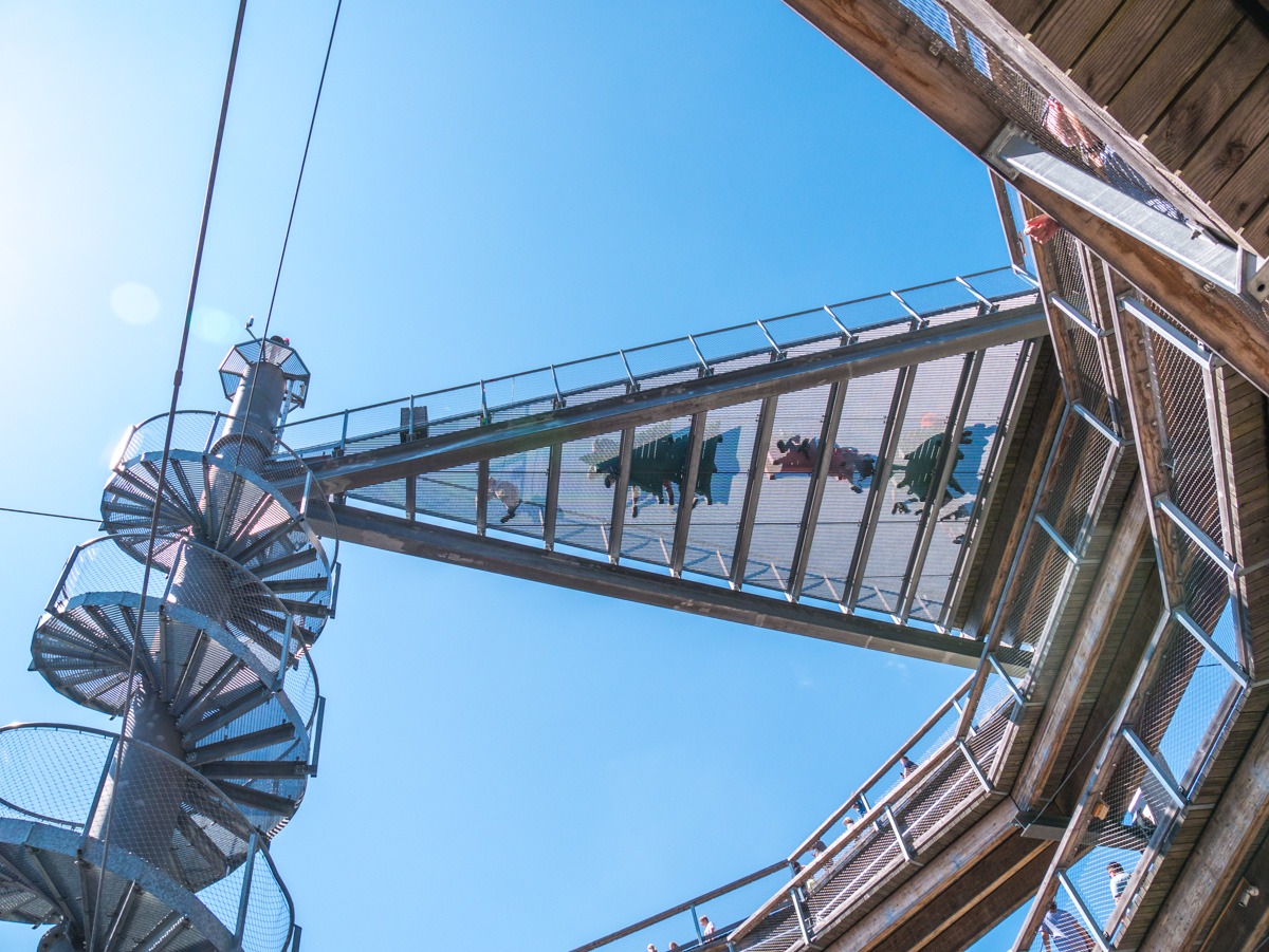 220803 janske lazne boomkroonpad 0011  220803 janske lazne boomkroonpad 0011