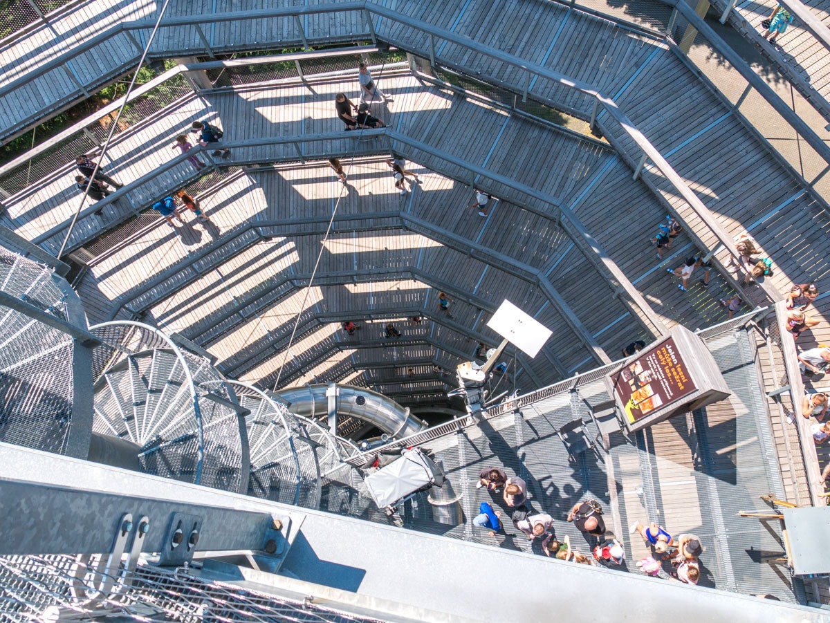 220803 janske lazne boomkroonpad 0012  220803 janske lazne boomkroonpad 0012