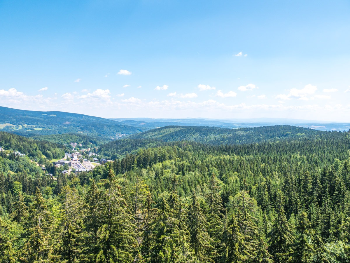 220803 janske lazne boomkroonpad 0014  220803 janske lazne boomkroonpad 0014