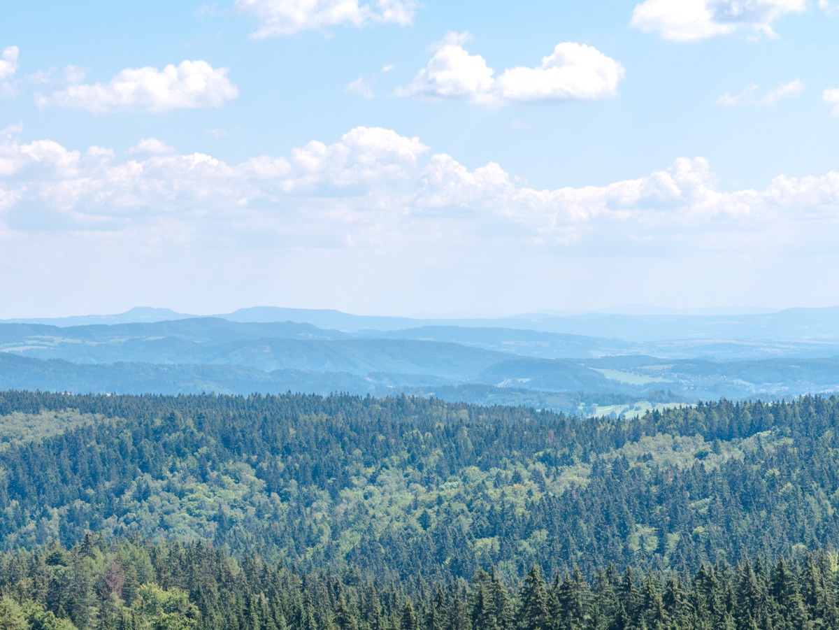 220803 janske lazne boomkroonpad 0015  220803 janske lazne boomkroonpad 0015