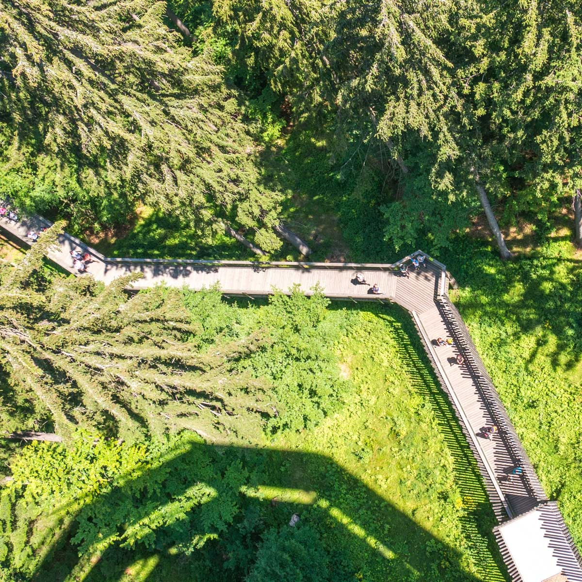 220803 janske lazne boomkroonpad 0016  220803 janske lazne boomkroonpad 0016