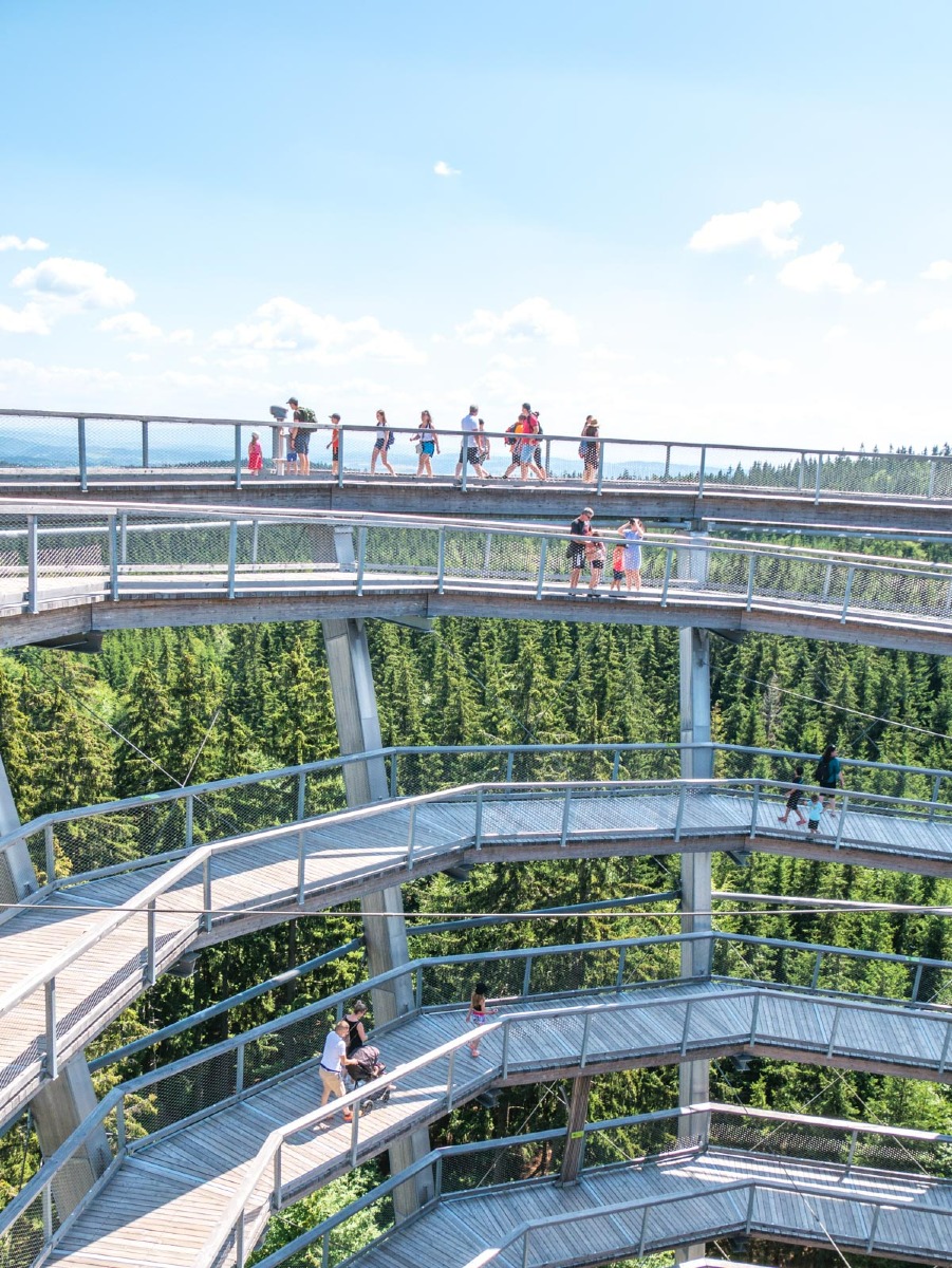 220803 janske lazne boomkroonpad 0019  220803 janske lazne boomkroonpad 0019