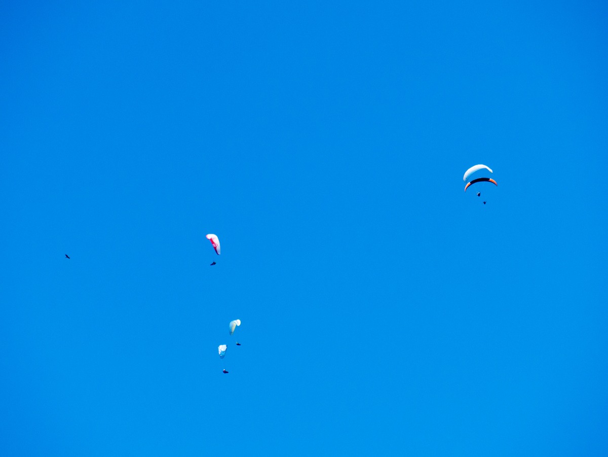 220803 janske lazne boomkroonpad 0021  220803 janske lazne boomkroonpad 0021