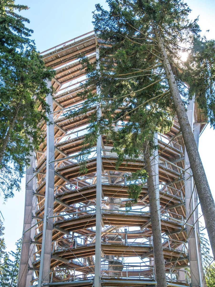 220803 janske lazne boomkroonpad 0022  220803 janske lazne boomkroonpad 0022