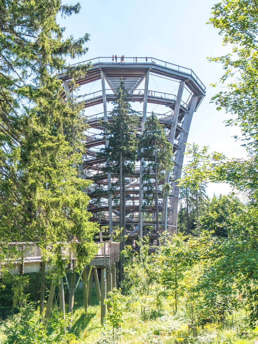 220803 janske lazne boomkroonpad 0024  220803 janske lazne boomkroonpad 0024