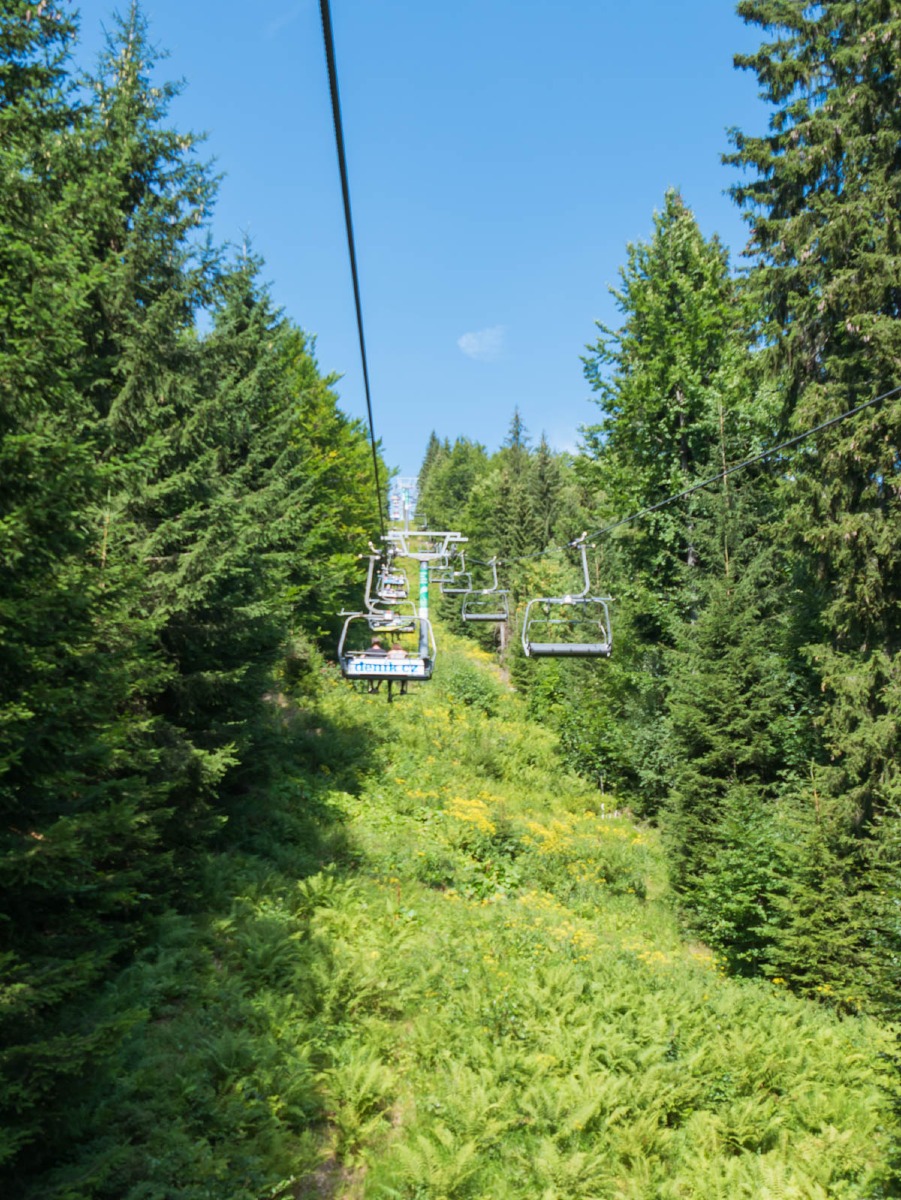 0002 medvedin  0002 medvedin