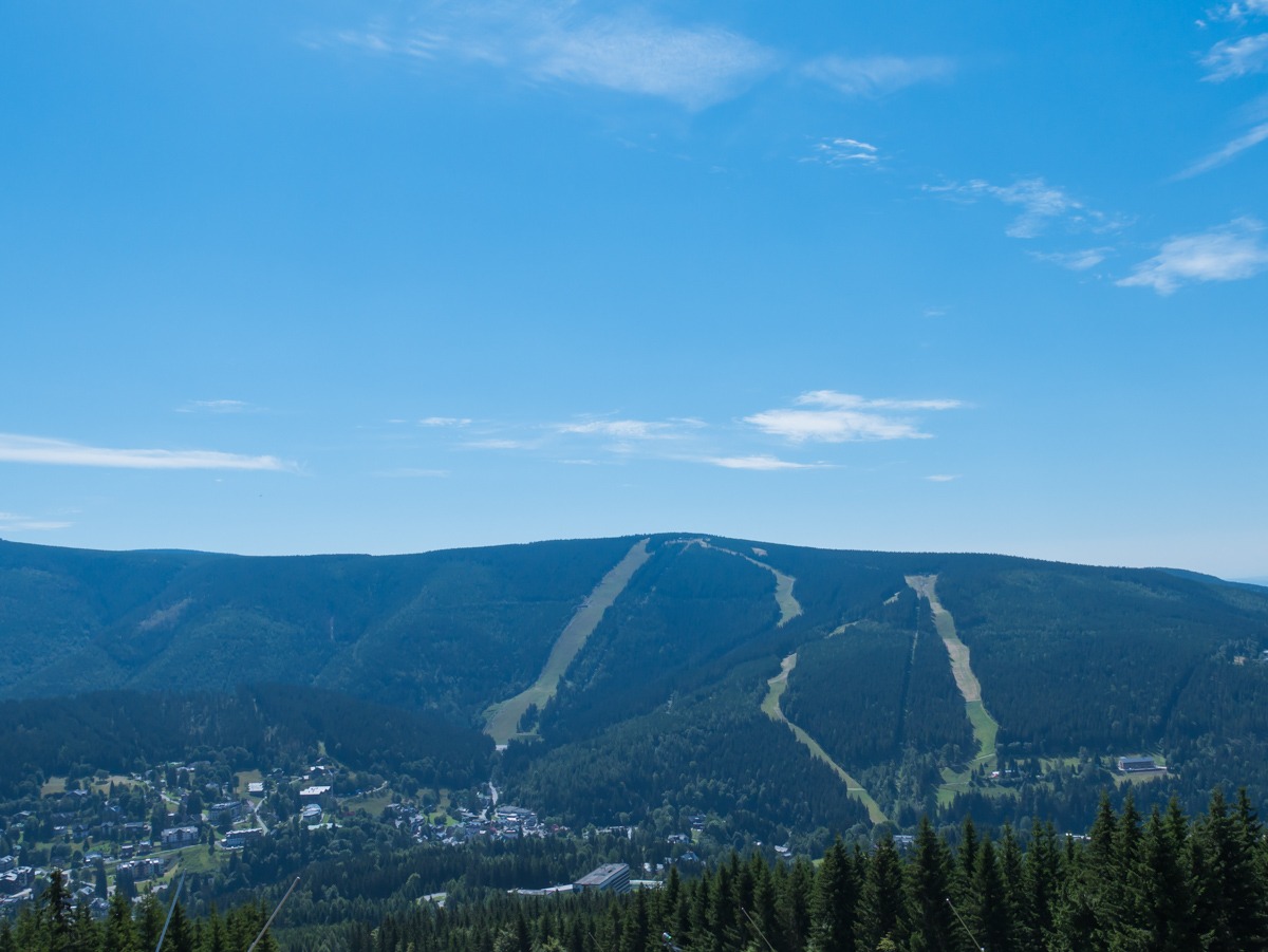 0004 medvedin  0004 medvedin