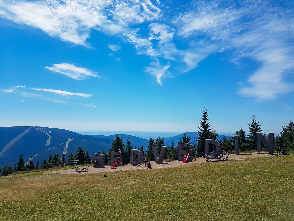 0005 medvedin 2022 08 05.19.49 0005 medvedin 2022 08 05.19.49