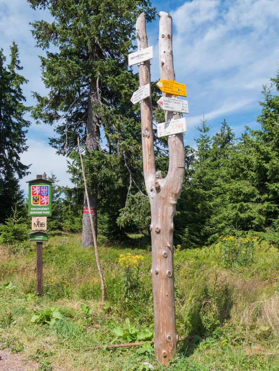 0009 medvedin  0009 medvedin