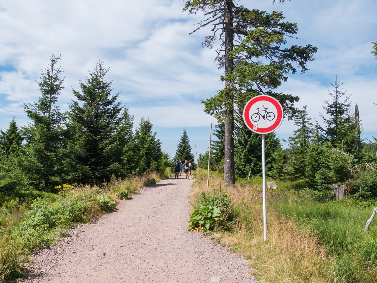 0010 medvedin  0010 medvedin