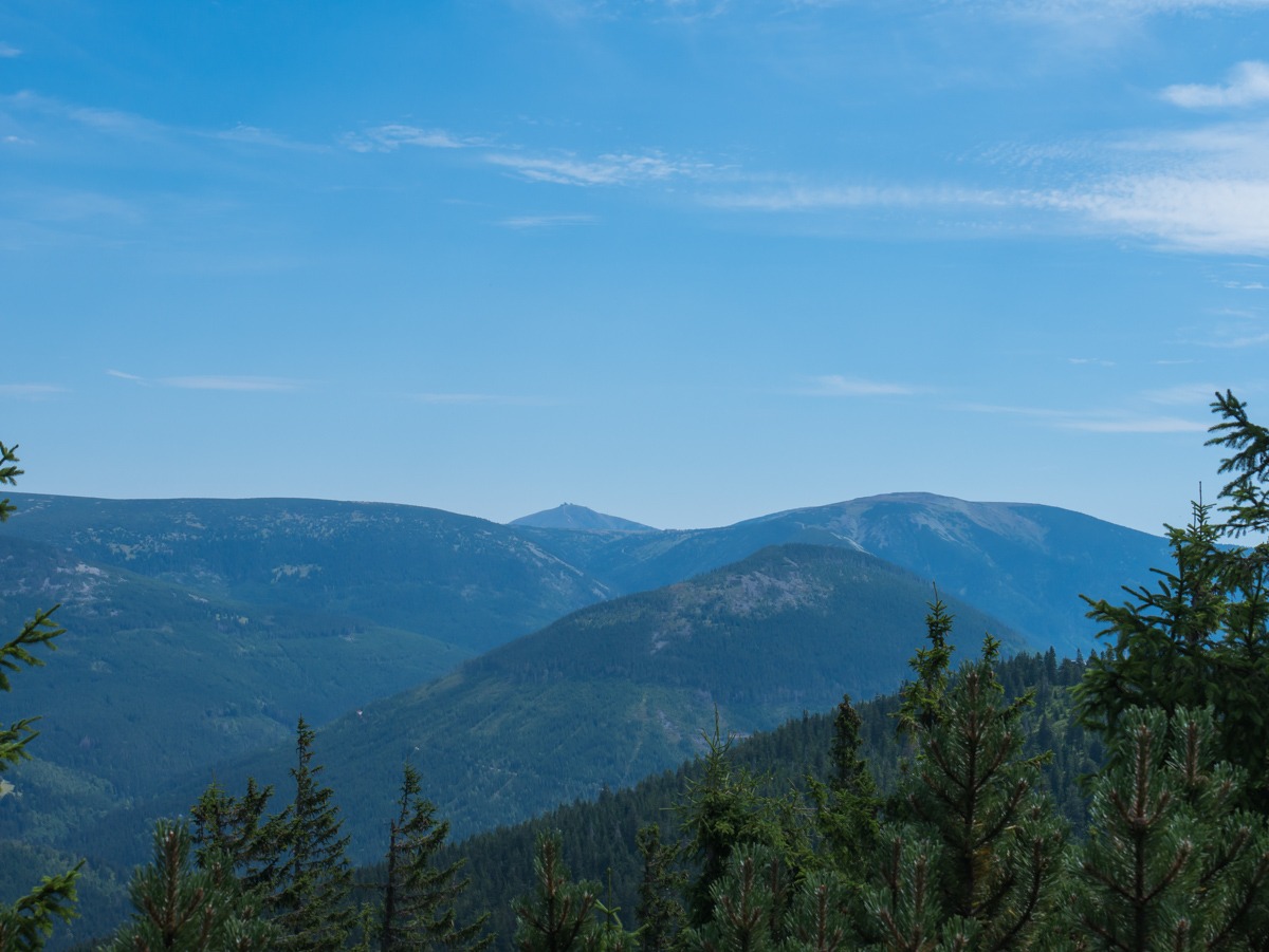 0012 medvedin  0012 medvedin