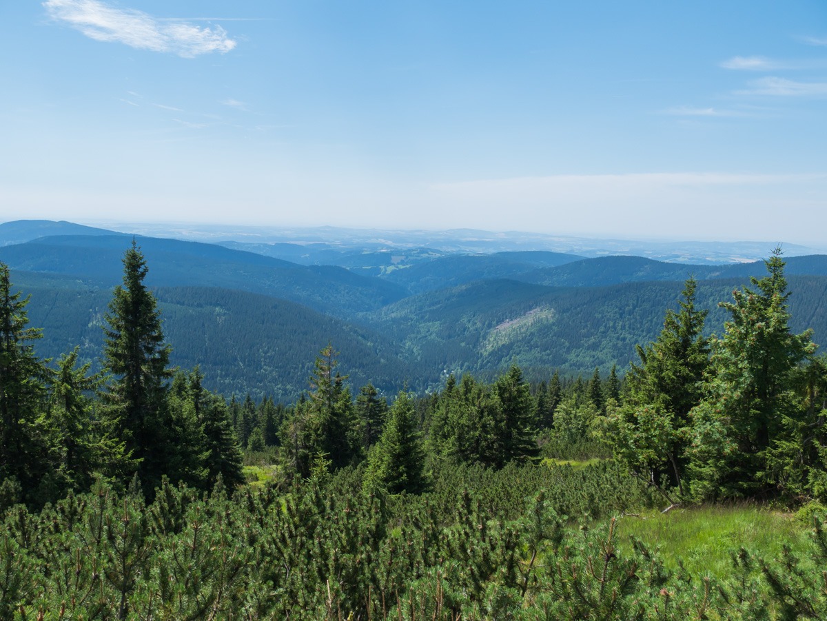 0013 medvedin  0013 medvedin