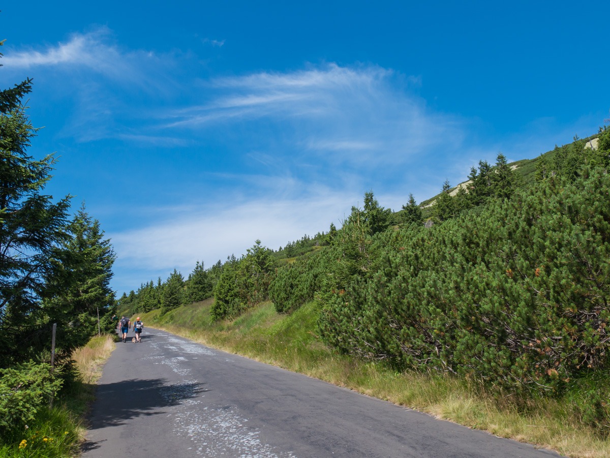 0014 medvedin  0014 medvedin