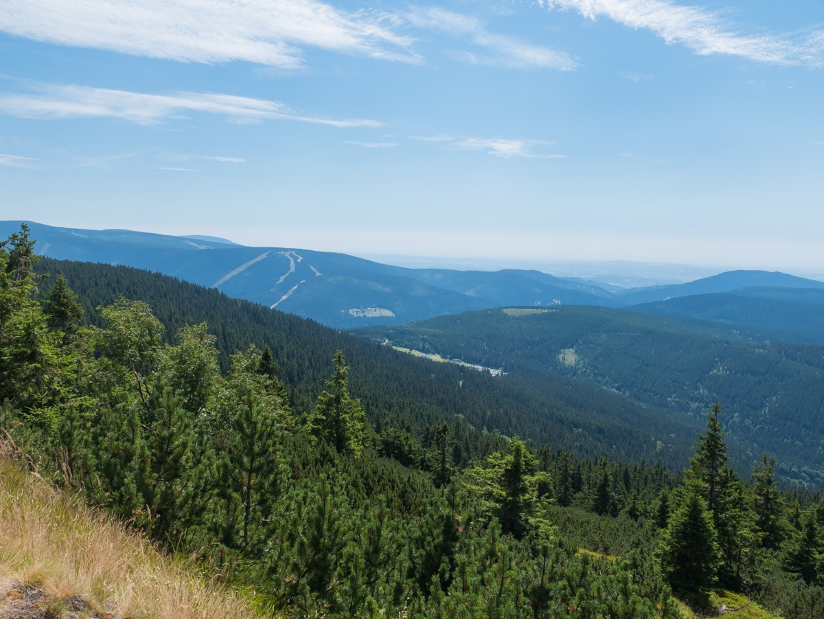 0015 medvedin  0015 medvedin