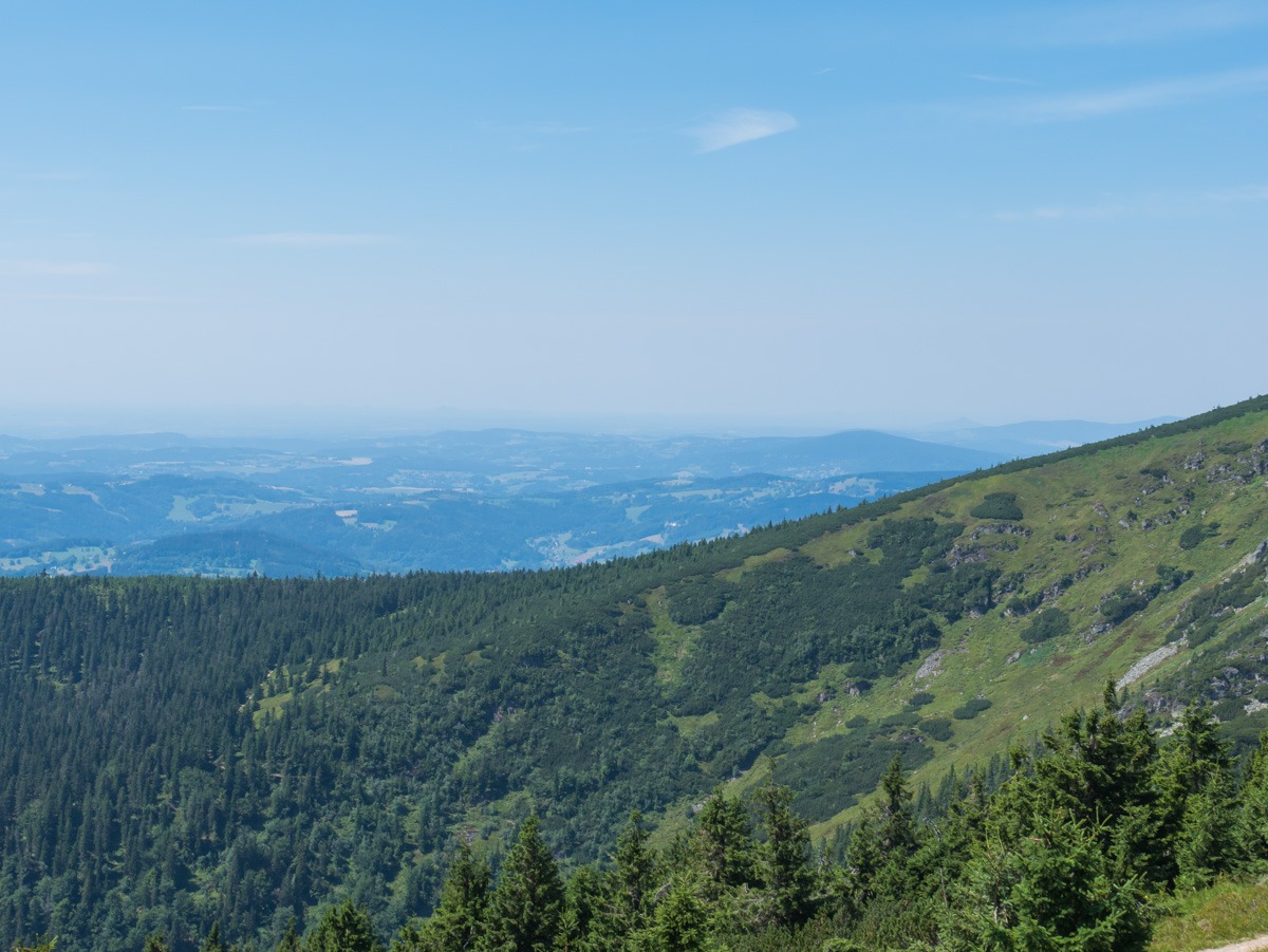 0017 medvedin  0017 medvedin