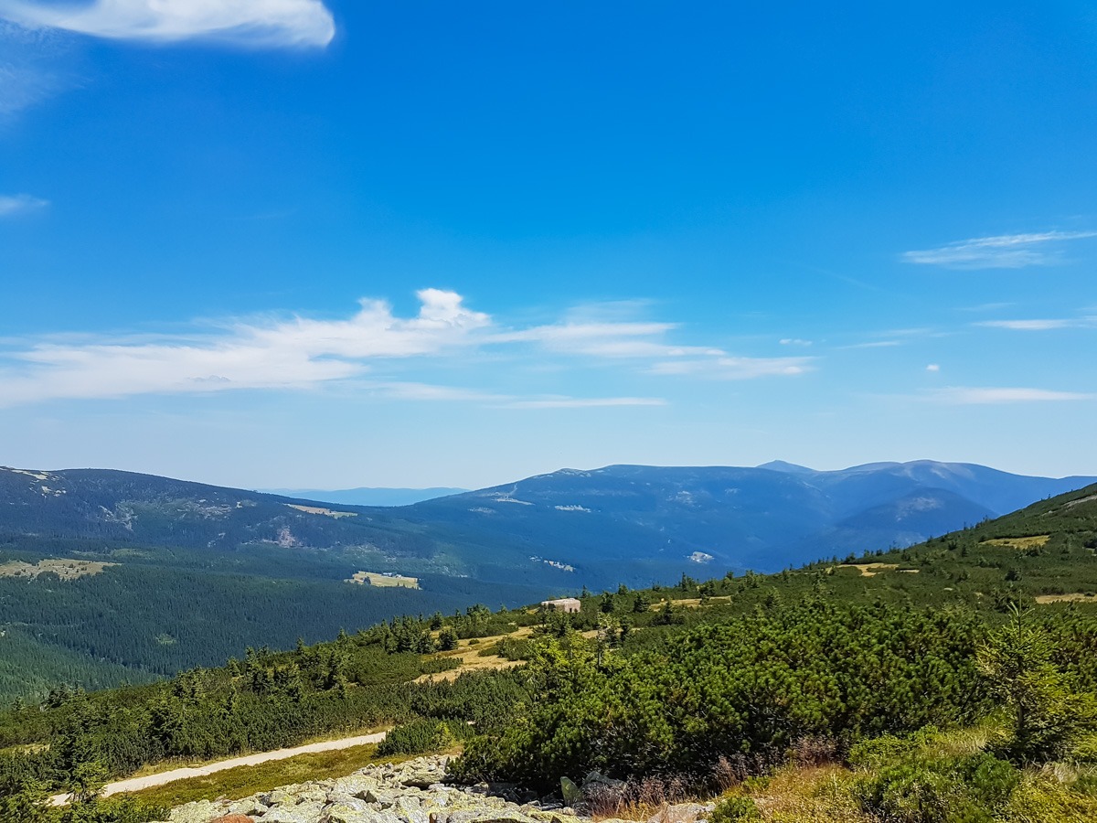 0018 medvedin 2022 08 05.53.58 0018 medvedin 2022 08 05.53.58