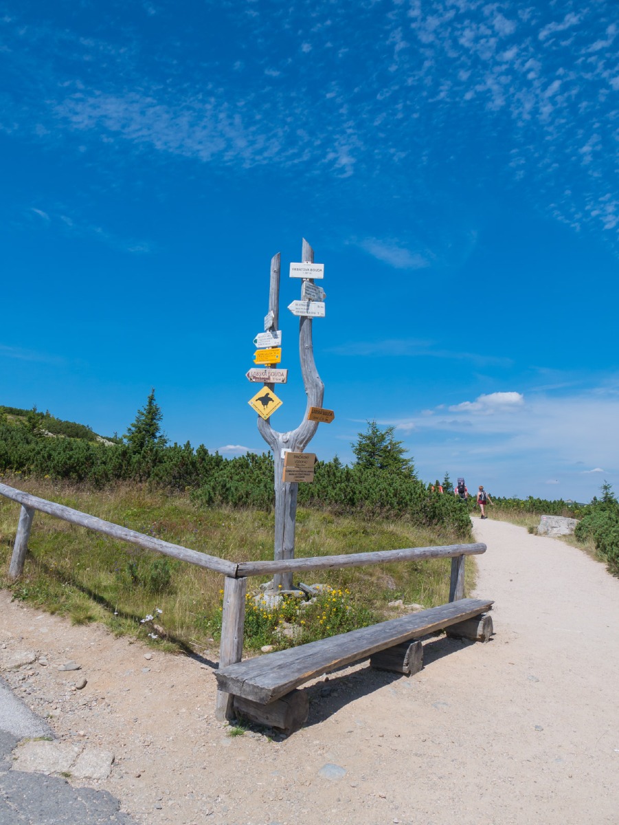 0020 medvedin  0020 medvedin