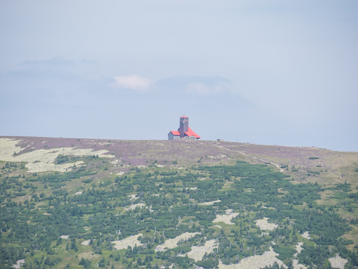 0021 medvedin  0021 medvedin