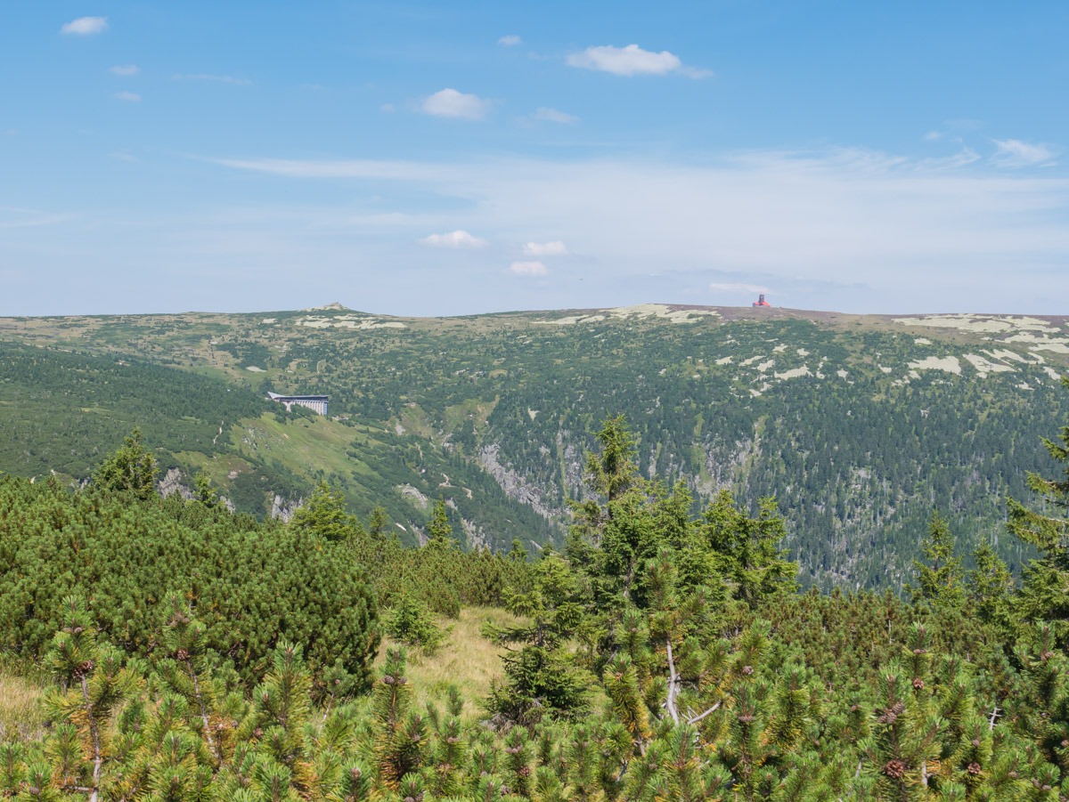 0025 medvedin  0025 medvedin