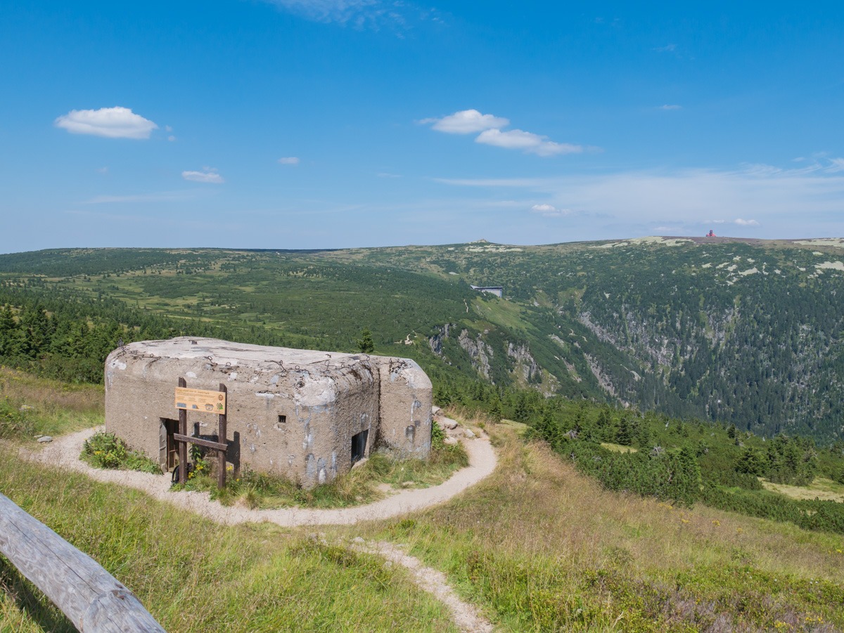 0026 medvedin  0026 medvedin