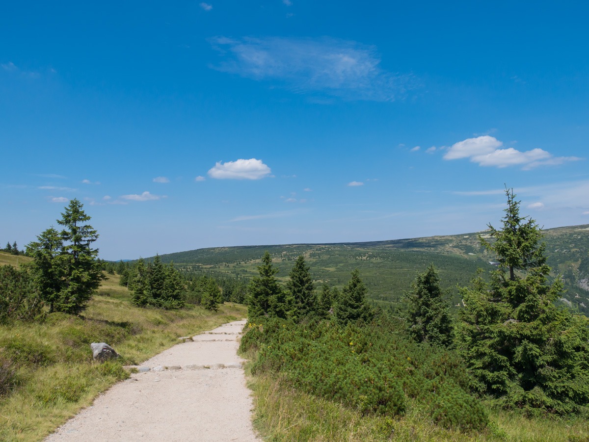 0027 medvedin  0027 medvedin