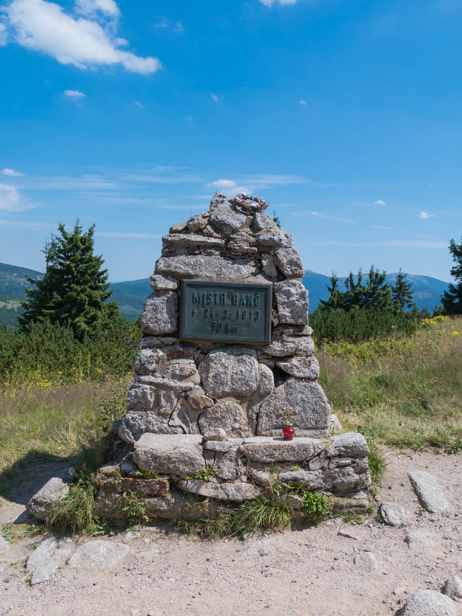 0028 medvedin  0028 medvedin