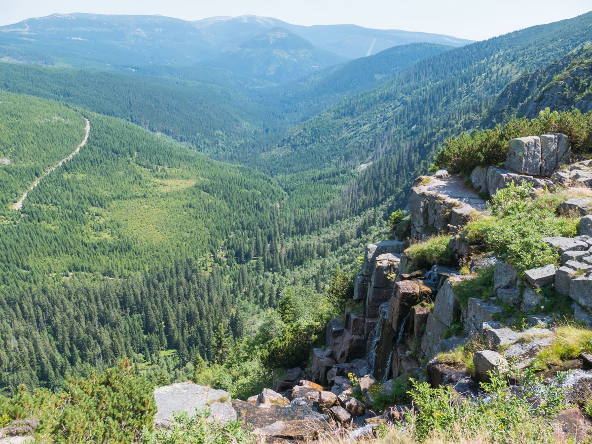 0033 medvedin  0033 medvedin