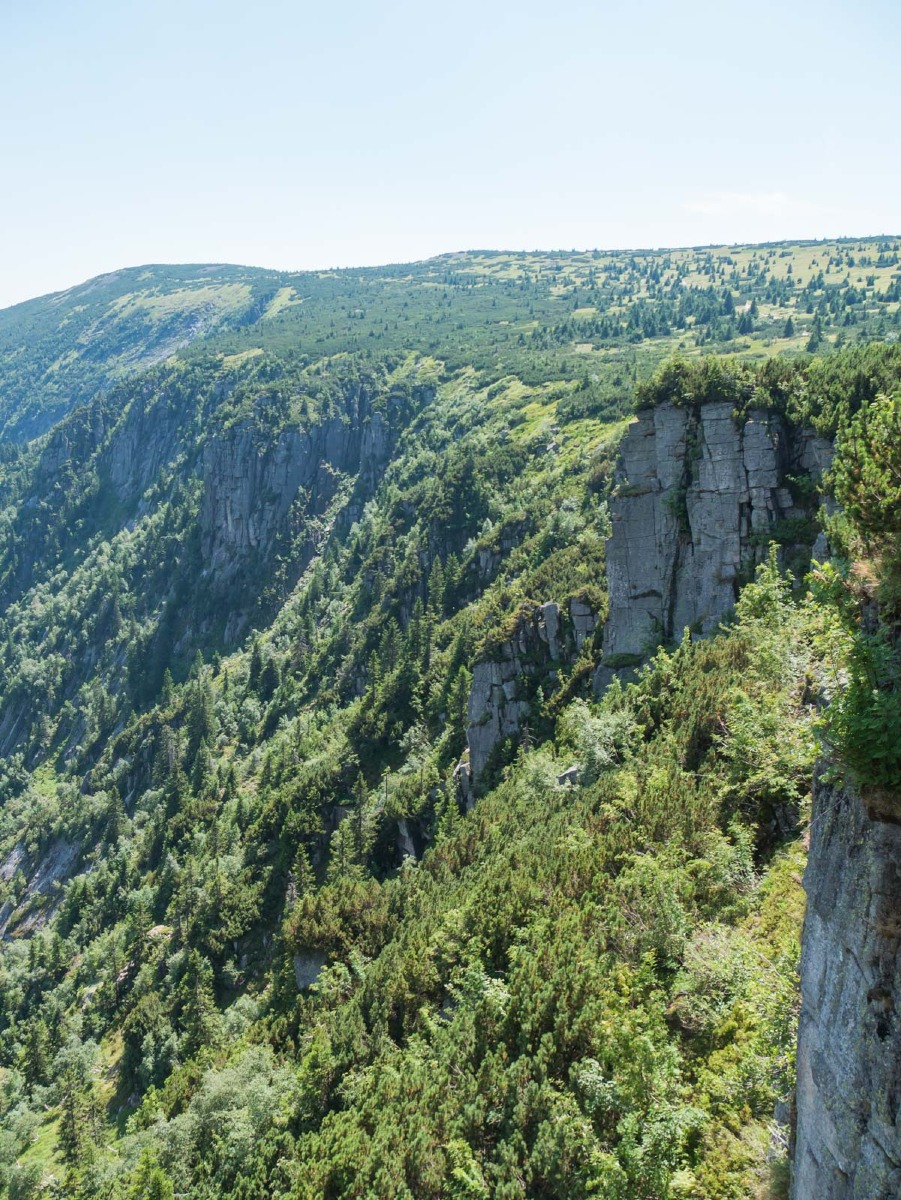 0034 medvedin  0034 medvedin