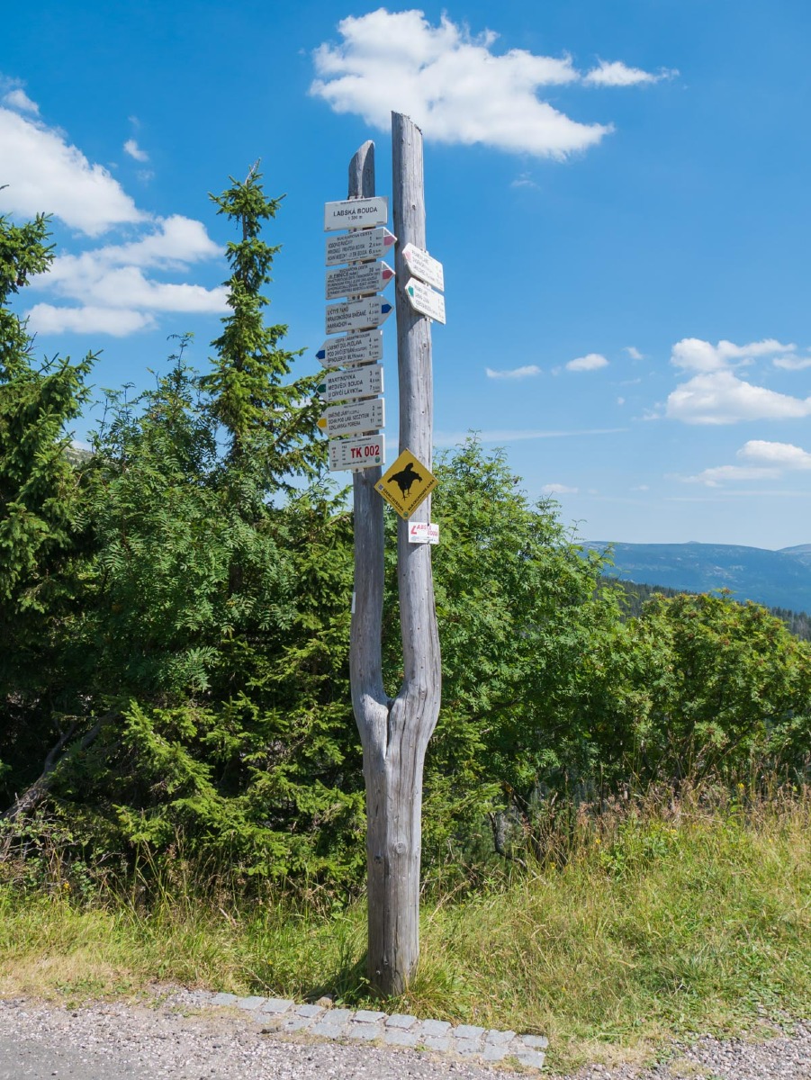 0035 medvedin  0035 medvedin