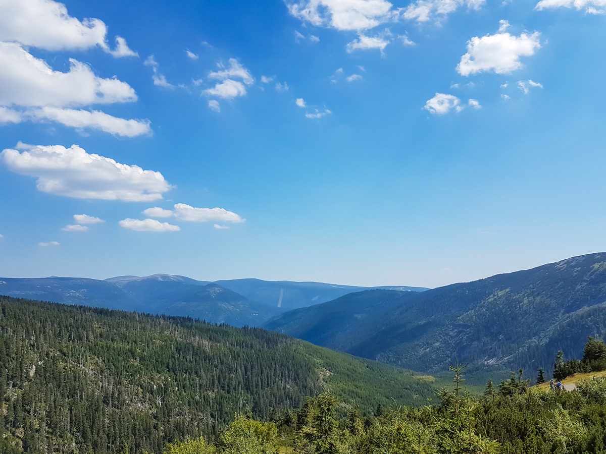 0036 medvedin 2022 08 05.24.48 0036 medvedin 2022 08 05.24.48