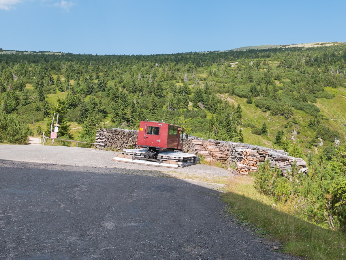 0039 medvedin  0039 medvedin