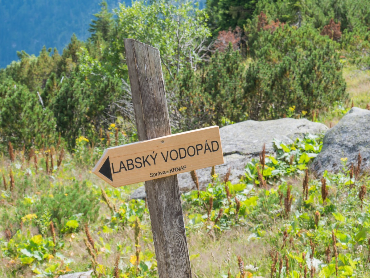 0041 medvedin  0041 medvedin