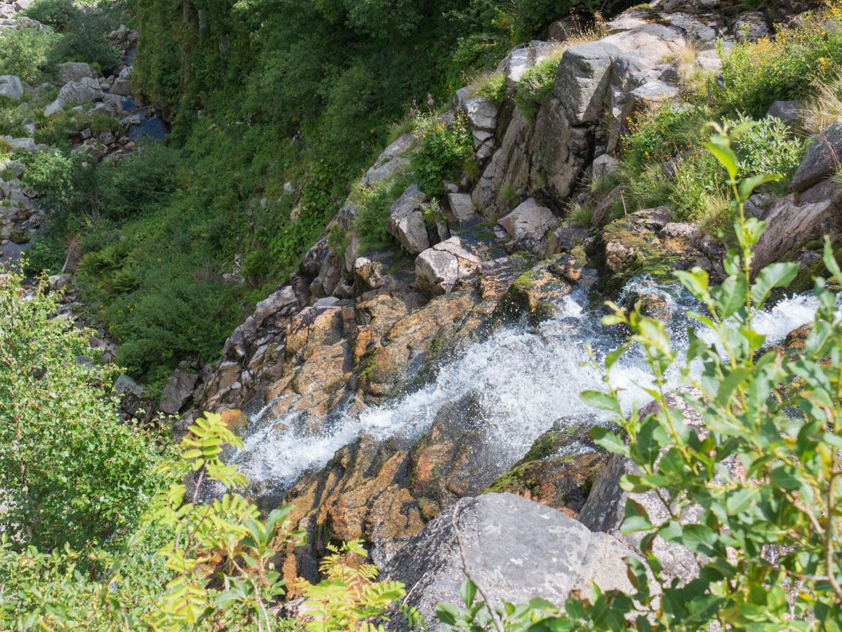 0043 medvedin  0043 medvedin