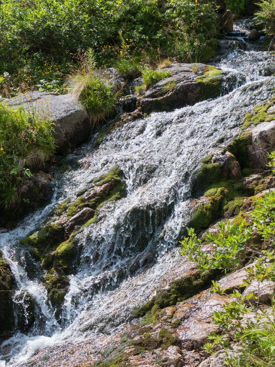 0044 medvedin  0044 medvedin