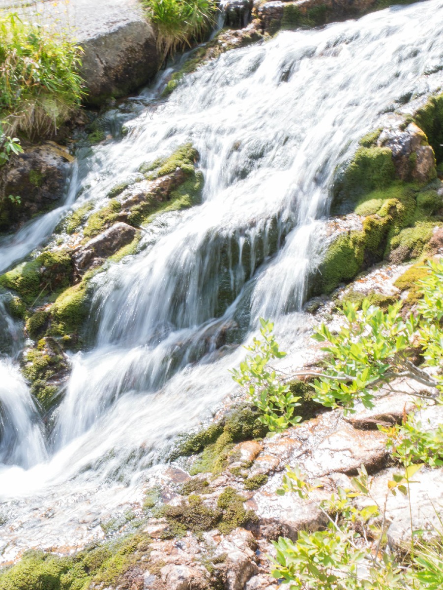 0045 medvedin  0045 medvedin