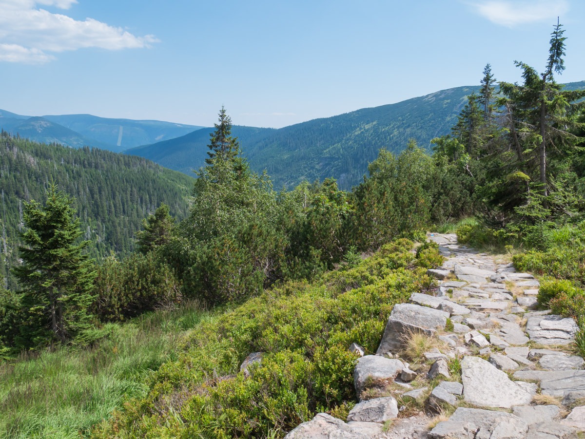 0047 medvedin  0047 medvedin