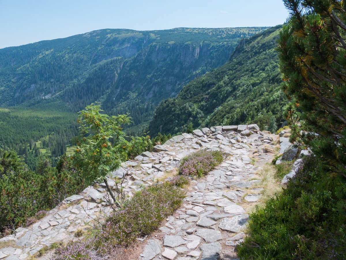 0048 medvedin  0048 medvedin