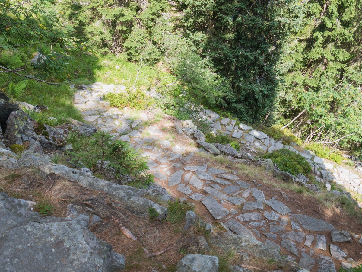 0051 medvedin  0051 medvedin