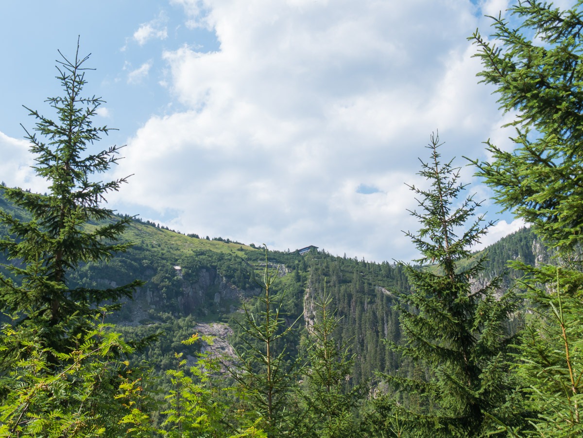 0055 medvedin  0055 medvedin